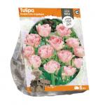 Baltus Tulipa Double Late Angelique tulpen bloembollen per 5 stuks